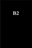 B2 The Old Art and New Science of the Business Network