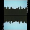 Maggie Rogers (매기 로저스) - Now That The Light Is Fading [10인치 Vinyl]