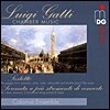 Calamus Ensemble 루이지 가티: 쳄버 음악 (Luigi Gatti: Chamber Music)