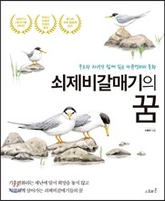 쇠제비갈매기의 꿈