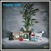 Tigers Jaw (타이거스 죠) - Spin