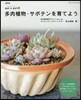 solxsolの多肉植物.サボテン 改訂