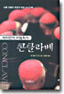 콘클라베