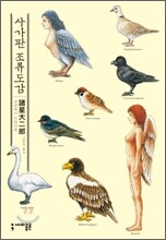 사가판 조류도감