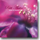 Patti Austin - Street Of Dreams
