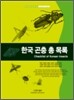 한국 곤충 총 목록