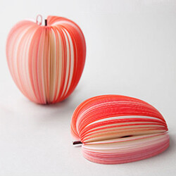 fruit memo pad - 사과