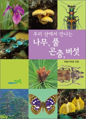 나무, 풀, 버섯, 곤충 세트