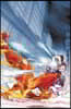 The Flash Vol. 3: Rogues Reloaded (Rebirth)