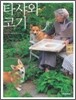 타샤와 코기