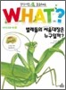 벌레들의 싸움대장은 누구일까?
