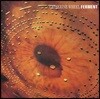 Catherine Wheel (캐서린 휠) - 1집 Ferment [LP]