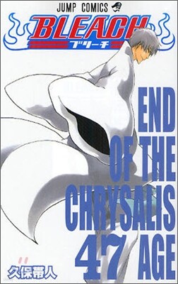 BLEACH ブリ-チ 47