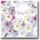 Romantic 3 (로맨틱 3) : Voices