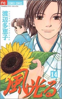 風光る 14