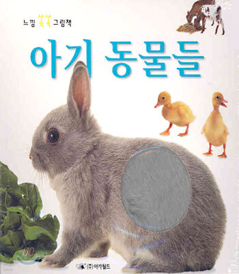 아기 동물들