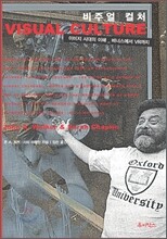 비주얼 컬처 Visual Culture