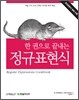 한 권으로 끝내는 정규표현식