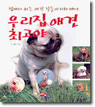 우리집 애견 최고야