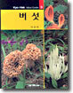 버섯