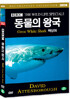 BBC 동물의왕국- 백상어 (Great While Shark- BBC THE WILD LIFE SPECIAL)