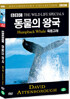BBC 동물의왕국- 혹등고래 (Humpback Whale  BBC THE WILD LIFE SPECIAL)