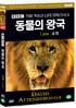 BBC 동물의왕국- 사자 (LION BBC THE WILD LIFE SPECIAL)