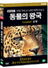 BBC 동물의왕국-표범 (Leopard BBC THE WILD LIFE SPECIAL)