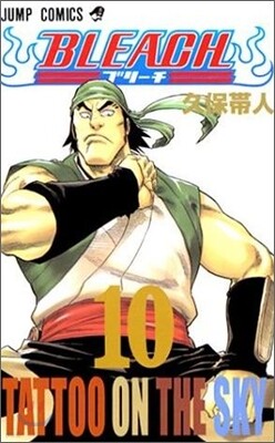 BLEACH ブリ-チ 10