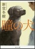 瞳の犬