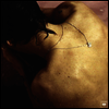 Harry Styles - Harry Styles (Digipack)(CD)