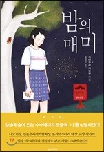밤의 매미