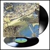 Ozric Tentacles (오즈릭 텐터클스) - Pungent Effulgent [리이슈 2LP]