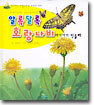 알록달록 호랑나비 여기저기 민들레