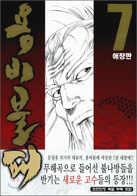 용비불패 애장판 7