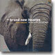 The Brand New Heavies - Dream Come True: The Best Of The Acid Jazz Years