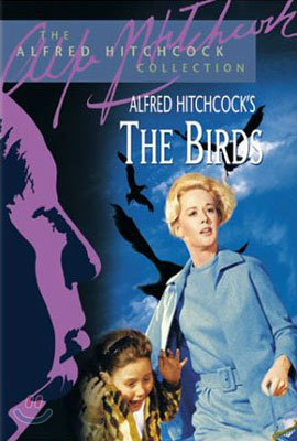 새 The Birds