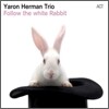 Yaron Herman - Follow The White Rabbit