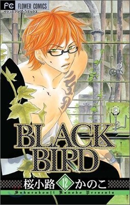 BLACK BIRD 12