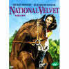 [DVD] 녹원의 천사 - National Velvet