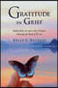 Gratitude in Grief: Finding Daily Joy and a Life of Purpose Following the Death of My Son