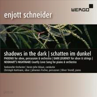 엔조트 슈나이더: 실내악과 협주곡 (Enjott Schneider: Werke &#39;Shadows in the Dark/Schatten im Dunkel - Chamber &amp; Piano Concerto)(CD) - Christoph Hartmann