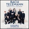 Ensemble Amarillis 바흐 / 텔레만: 협주곡집 - 앙상블 아마릴리스 (J.S. Bach / Telemann: Effervescence Concertante)