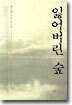 잃어버린 숲