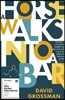 A Horse Walks into a Bar