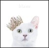 Aimer - Best Selection "Blanc" 에메 베스트 앨범 블랑