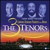 쓰리 테너 미국 월드컵 축하 공연 콘서트 - Jose Carreras  / Luciano Pavarotti / Placido Domingo (The 3 Three Tenors in Concert 1994) [2 LP]
