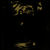 Keiji Haino - Watashi Dake? (Ltd. Ed)(Vinyl LP)