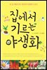 집에서 기르는 야생화