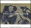 North Mississippi Allstars (노스 미시시피 올스타스) - Prayer For Peace
